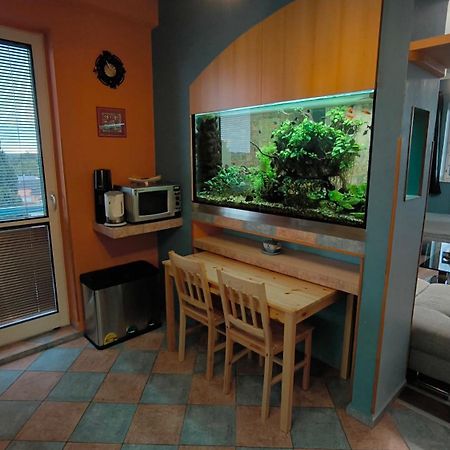 Suk Apartman 24 سوكودول ناد لودجينسي المظهر الخارجي الصورة